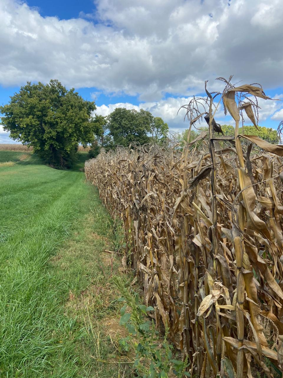 Poppy Handcrafted Popcorn founder, Ginger Frank, visited Reist Popcorn Co.'s farm in Pennsylvania, where the Asheville-based snack company sources its popping corn.