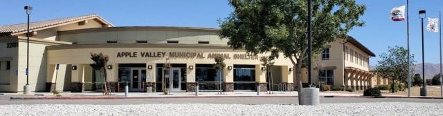 Victor Valley Animal Protective League