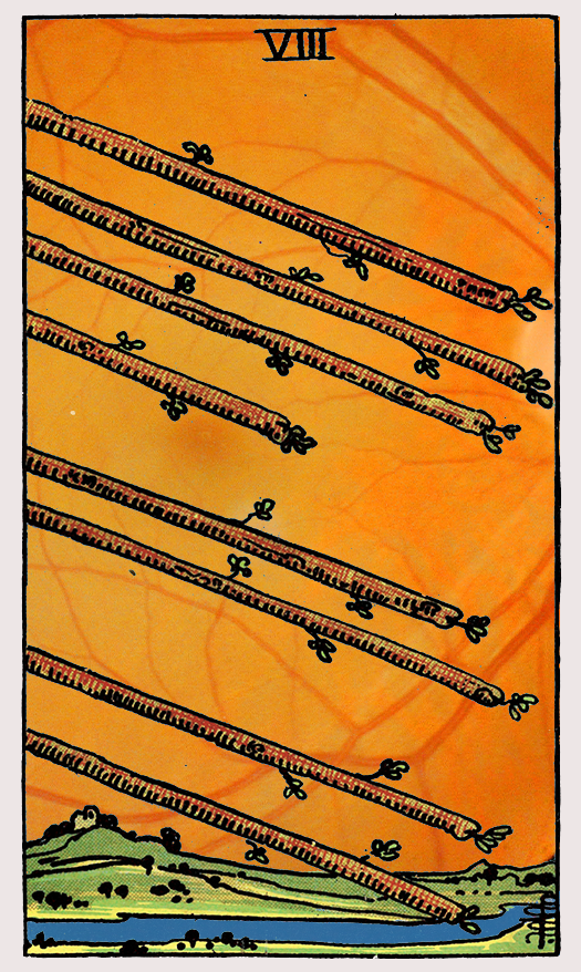 eight of wands