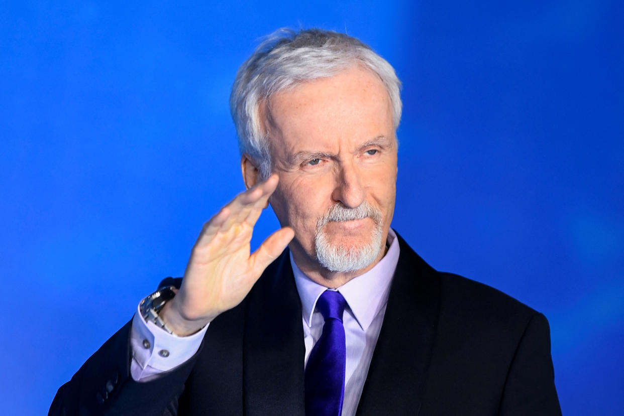 Director James Cameron arrives at the world premiere of Avatar: The Way of Water in London, Britain December 6, 2022. 