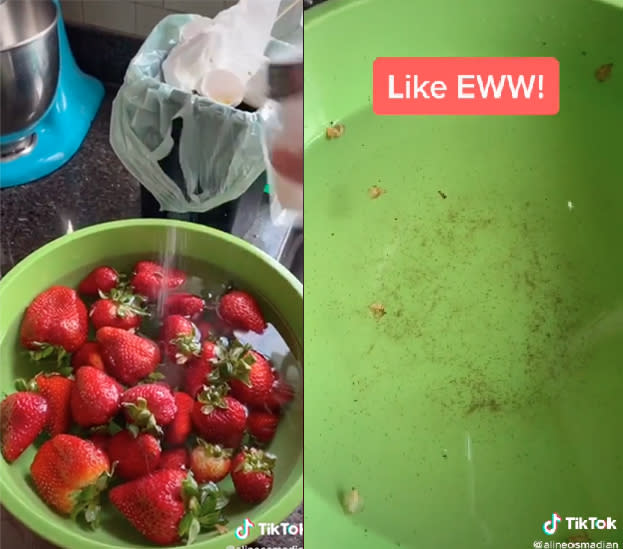 Tik Tok shows how dirty strawberries are with deep clean video