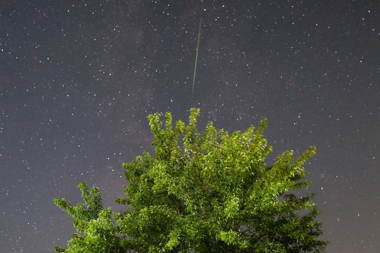 A meteor streaks past stars in the night sky above a tree during the Perseid meteor shower in Radimlja, near Stolac, Bosnia and Herzegovina, August 12, 2012: Reuters