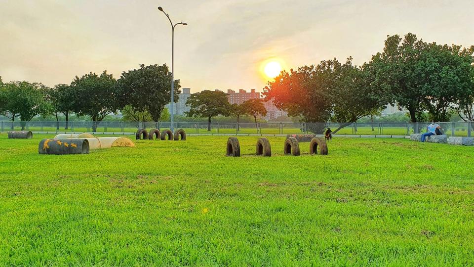 浮洲寵物公園-寬闊的草坪以及河濱美景。   圖：新北市高灘處提供