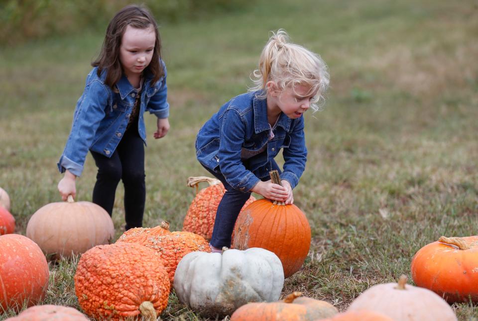 Liberty Pratt, 2, right, and Arian Kozak, 5, pick out pumpkins at Rutledge-Wilson Farm Park on Saturday, Oct. 2, 2021.