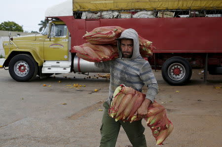 A man carries bags of maize at a wholesale market in Havana April 13, 2016. REUTERS/Enrique de la Osa