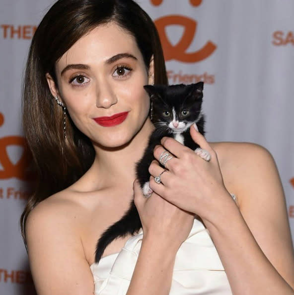 Emmy Rossum, at the Best Friends Animal Society Benefit event at the Bowery Hotel in NYC: “Tonight, we raised $300,000 for my favorite @bestfriendsanimalsociety. How can you say no to that 4 week old face? #SaveThemAll #NYAdoptionCenter” -@emmyrossum