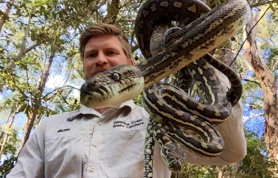 Richie Gilbert is a Sunshine Coast snake catcher.  Photo: Richie Gilbert