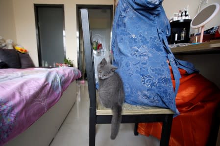 A cat sits next to Li Doudou as she gets ready to attend a performance of the "guqin" traditional musical instrument, at her rental home in Hebei province, China