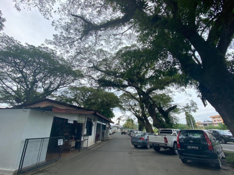 Locals believe that the tall, wide-canopied rain trees are tied to the area’s rich history and the stretch of riverside road should be preserved as a heritage area. — Picture courtesy of Eric Ye