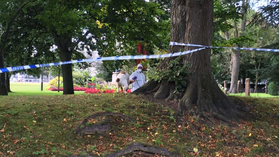 Police Warning Amid Serial Sex Attacker Fears 