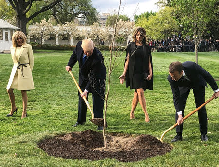 U.S. President Donald Trump and French President Emmanuel Macron shovel dirt onto a freshly planted oak tree as Brigitte Macron and first lady Melania Trump watch during a tree planting ceremony on the South Lawn of the White House in Washington, U.S., April 23, 2018. Picture taken April 23, 2018. REUTERS/Steve Holland