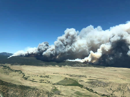 Smoke is seen from a fire in this aerial shot above Cimarron, New Mexico, U.S., June 1, 2018 in this picture obtained from social media on June 2, 2018. Justin Hawkins/via REUTERS