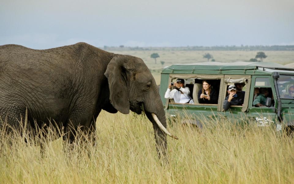 Tourists in safari vehicle photographing elephant up close, Masai Mara Game Reserve, Kenya - Michele Burgess / Alamy Stock Photo