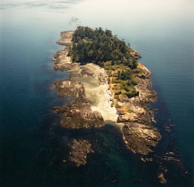 SISȻENEM, also known as Halibut Island, is a 9.67-acre island off the east coast of Sidney Island near Victoria.  (Land Conservancy of B.C. - image credit)