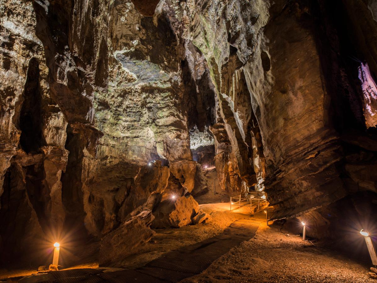 Ancient fossils in the ‘Cradle of Humankind’ are much more than 1 million yrs more mature than formerly thought