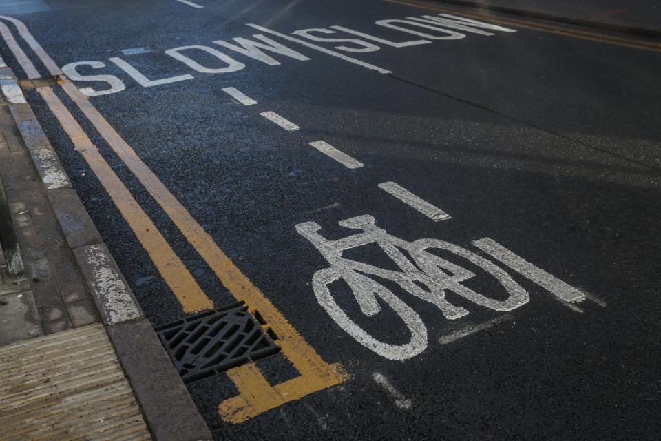 “That’s got to be a contender for Britain’s shortest cycle lane” (Joseph Walshe / SWNS)