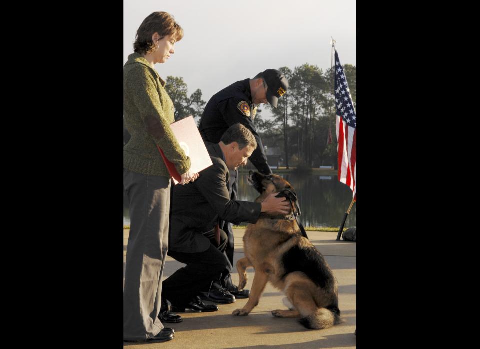 Though the government presented a number of obstacles, the family of fallen Marine Cpl. Dustin Jerome Lee did whatever it took to adopt Lex, the military dog who served with their son in Iraq, <a href="http://ireport.cnn.com/docs/DOC-768183" target="_hplink">CNN reports.</a> Before Lex passed away in March, he offered therapy to wounded soldiers and a way for Lee's mom to tell her son's story, <a href="http://ireport.cnn.com/docs/DOC-768183" target="_hplink">a mission, she says, she will not give up.</a>