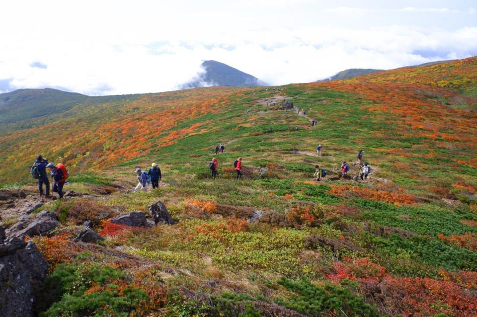 宮城縣：栗駒山