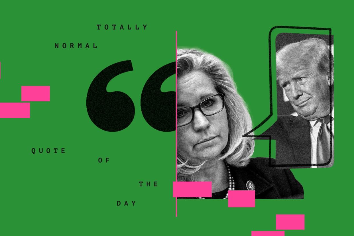 Liz Cheney with a speech bubble coming out of her mouth and a picture of Donald Trump inside it. The text "Totally Normal Quote of the Day" appears to her left.
