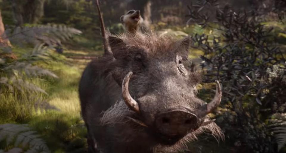 The Lion King: How Billy Eichner, Seth Rogen took on Timon, Pumbaa