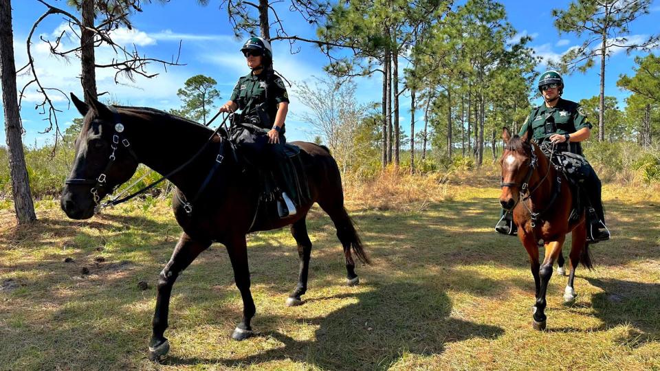 More than 50 members of the Orange County Emergency Response Team looked for the 13-year-old in various areas as our detectives continued their investigation.