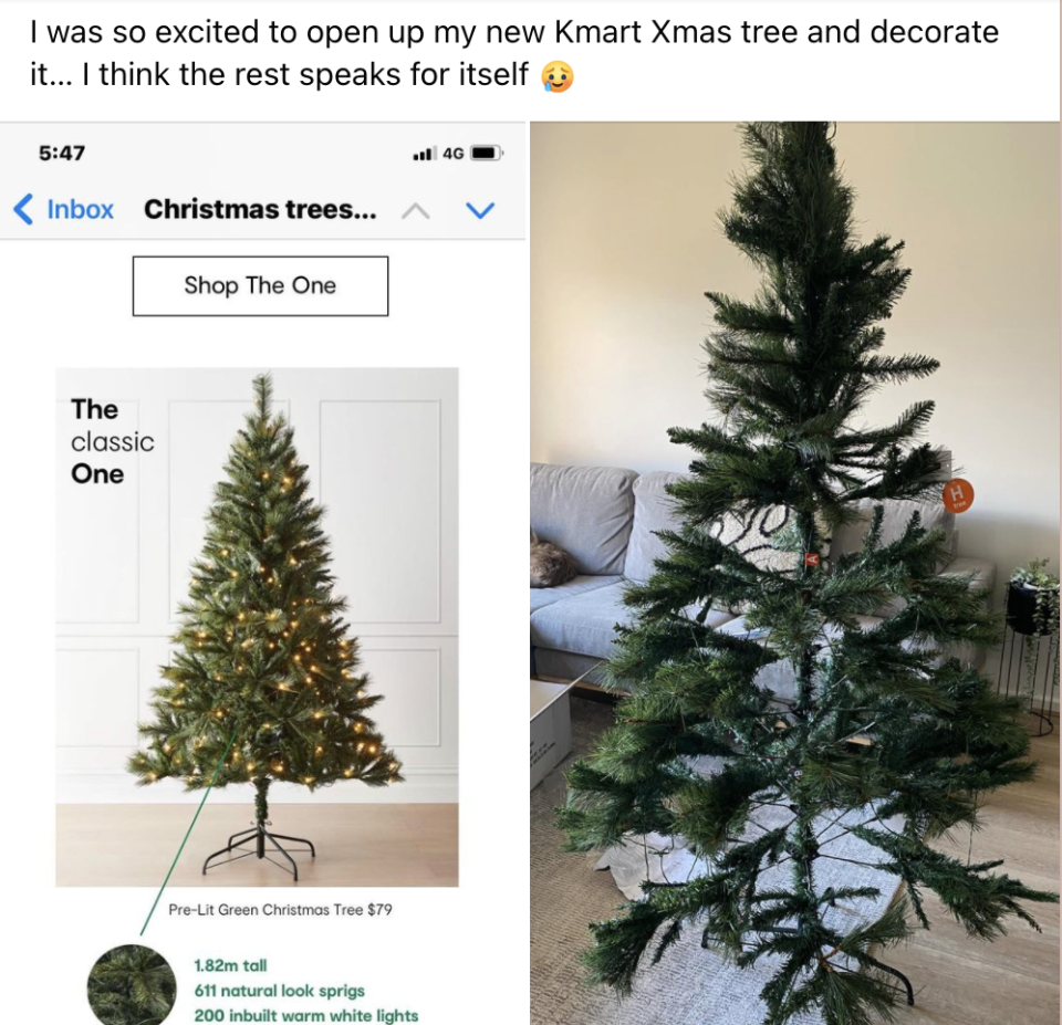 Facebook users quickly pointed out the mistake in setting up the tree. Source: Facebook