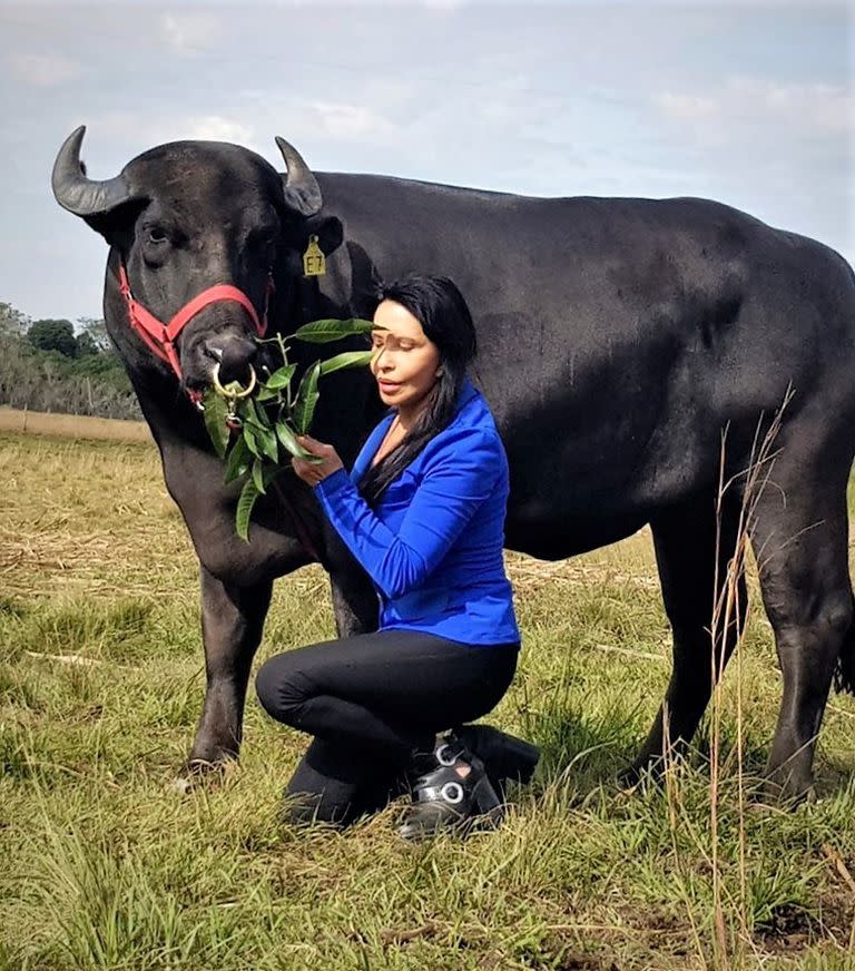 Nilda Silva dejó la ciudad y sin saber nada de campo se fue domesticar búfalos en medio de la nada