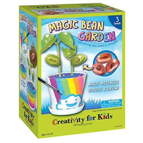 6) Magic Bean Garden