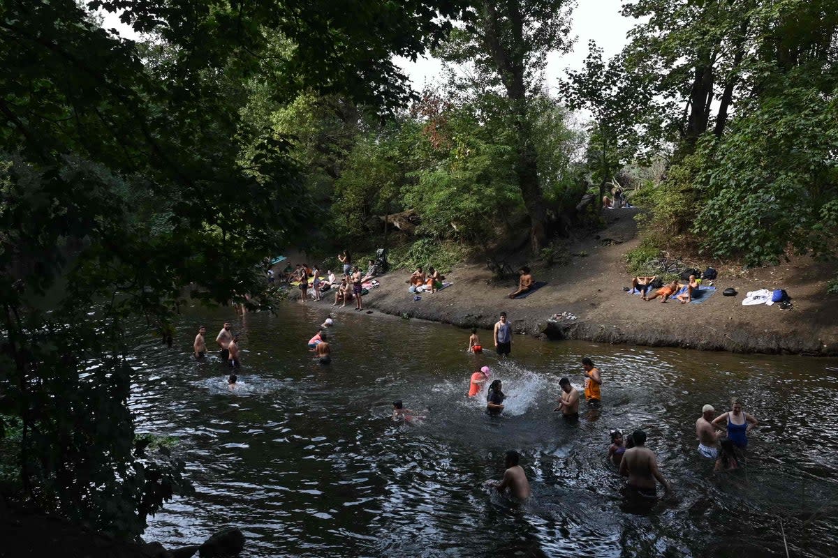 Sunbathers cool off at Hackney Marshes during a heatwave in September 2023 (AFP via Getty Images)