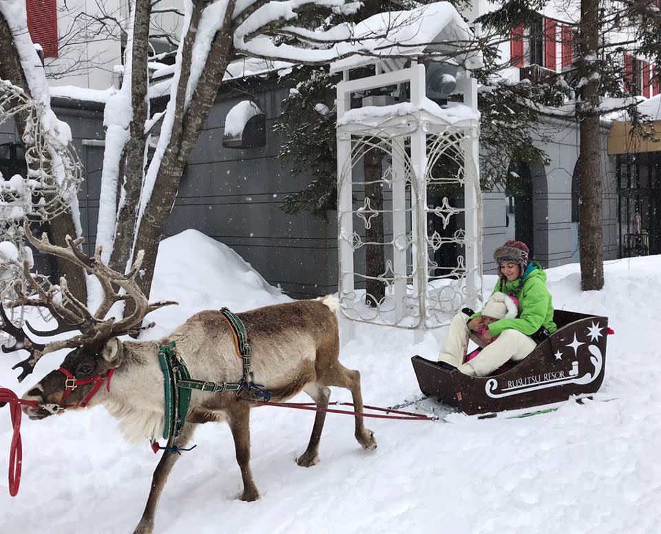 ▲瑞莎笑稱北海道的麋鹿不是「當地自產」，而是冬天才去打工的。
