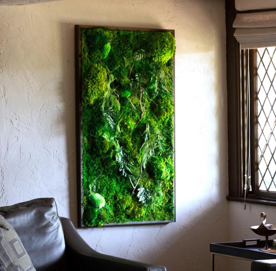 Preserved Moss Art Framed by Art Botanica Moss