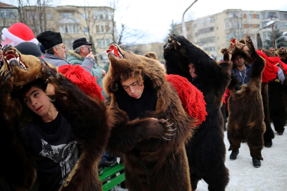 Dancers in bearskin costumes perform in Comanesti, Romania