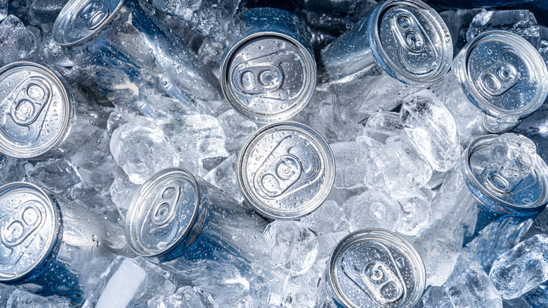 aluminum cans on ice