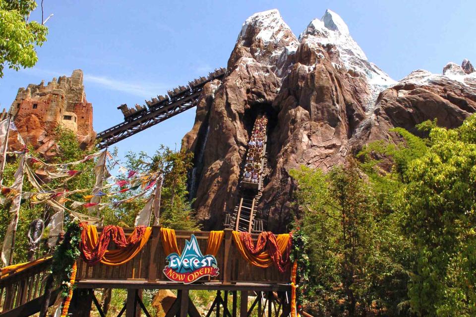 <p>Gustavo Caballero/Getty</p> Expedition Everest is located in the Animal Kingdom section of Disney World.