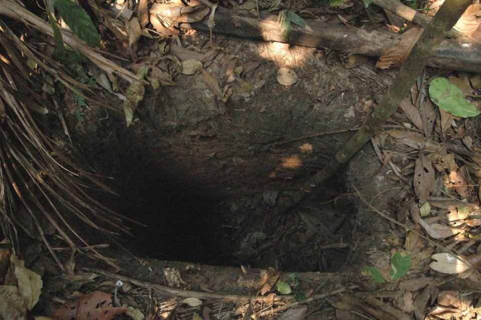 Hole found in one of the tribesman’s huts (J Pessoa/Survival International)