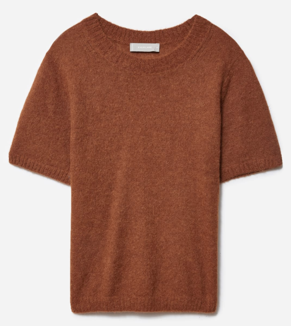 Everlane Alpaca Sweater Tee in Dark Copper