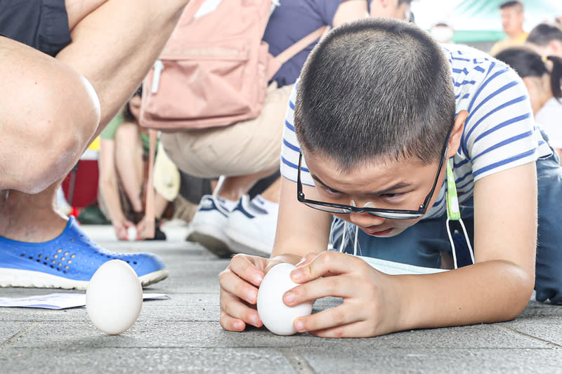 端午佳節  小朋友挑戰立蛋 2024台北國際龍舟錦標賽10日持續在大佳河濱公園舉 行，場邊舉辦端午立蛋活動，小朋友全神貫注挑戰立 蛋。 中央社記者鄭清元攝  113年6月10日 