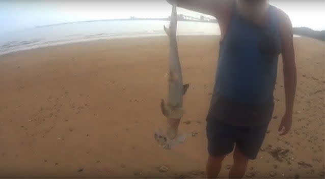 Payne was distressed as to how many baby sharks he found. Source: Supplied