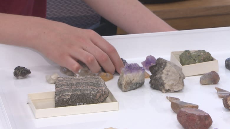 Radisson boy's rock museum, depleted by break-in, gets boost from Royal Sask. Museum donation