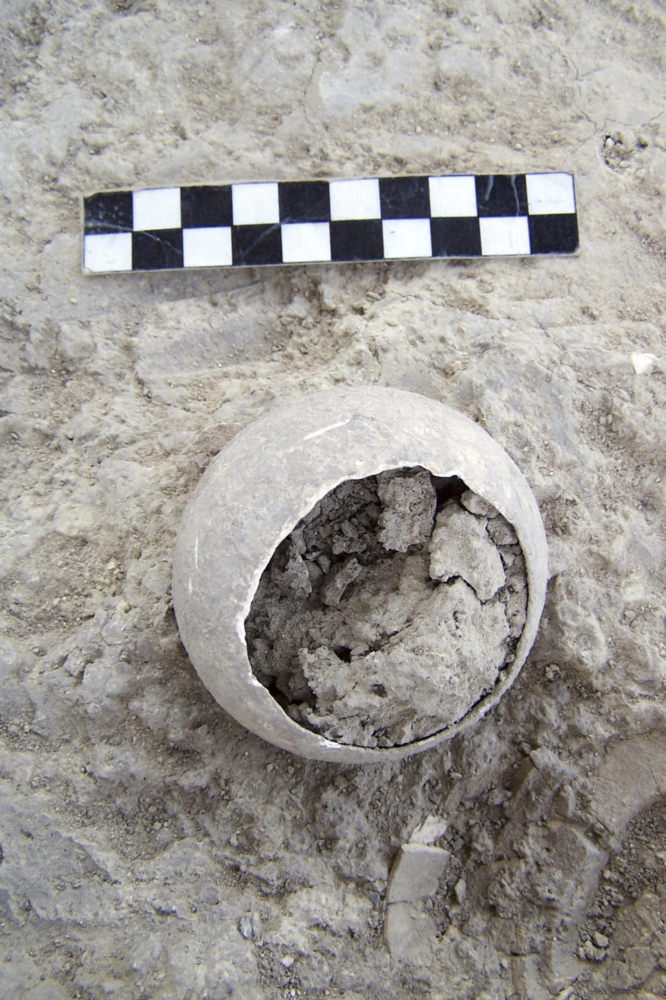 CORRECTS TO VALENCINA, NOT VALENCIA - This photo provided by the ATLAS research group of the University of Seville in July 2023 shows an ostrich egg discovered in a tomb in Valencina, Spain, dated between 3,200 and 2,200 years ago. When archaeologists first discovered the ornate tomb, they assumed it was for a man. But now they’ve determined the remains are those of a woman by analyzing tooth enamel, according to a study published Thursday, July 6, 2023, in the journal Scientific Reports. (Miguel Ángel Blanco de la Rubia/ATLAS - University of Seville)