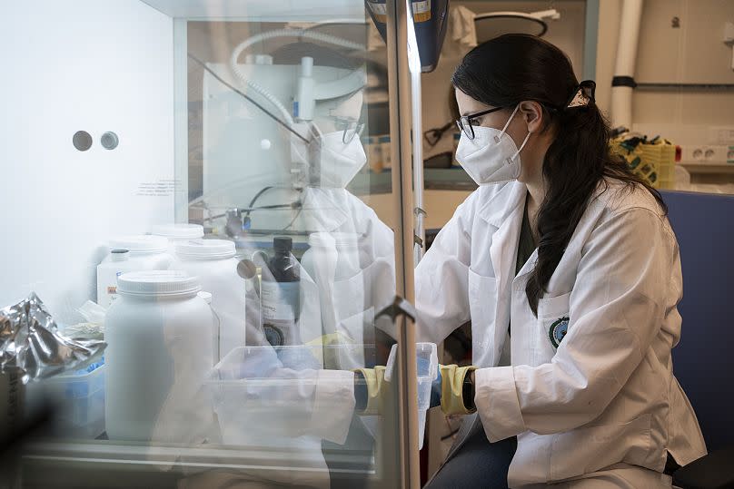 Researcher Fiorella Vasquez (University of Costa Rica) processes a deep-sea octopus sample in the main laboratory during the "Octopus Odyssey (too)" expedition off Costa Rica.