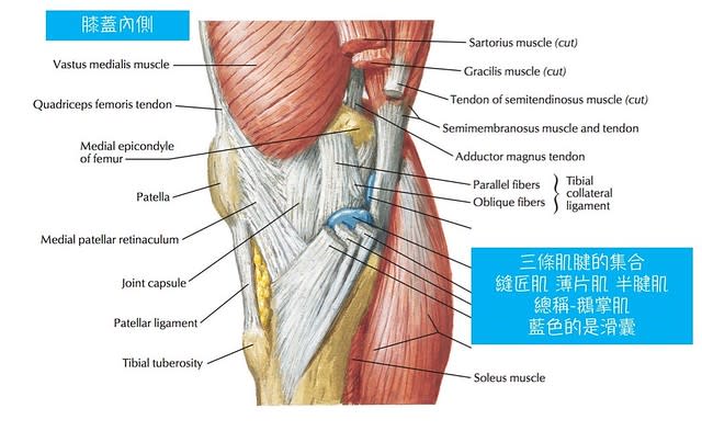 認真的圖