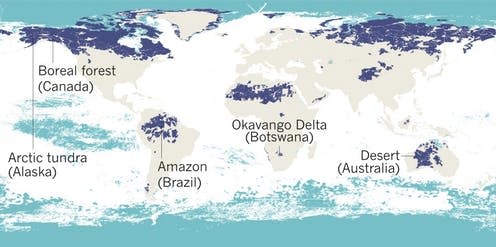 <span class="caption">The world's remaining wilderness. Dark blue = terrestrial. Light blue = marine. </span> <span class="attribution"><span class="source">Modified with permission from Protect the last of the wild, Watson et al, Nature (2018)</span></span>