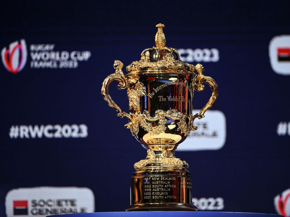 20 teams will compete at the 2023 Rugby World Cup  (AFP via Getty Images)