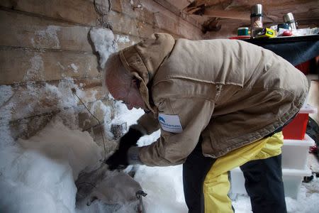 Mawson's Huts Foundation conservator, Peter Maxwell, chipping ice from the interior of the workshop section of Mawson's Hut at Cape Denison in Antarctica in this December 11, 2015 handout photo. REUTERS/David Killick/Mawsons Huts Foundation/Handout via Reuters