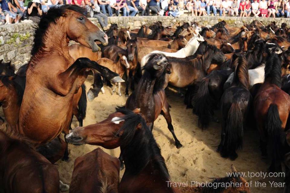 Rapa das Bestas (Shearing of the Beasts) festival, Sabucedo, Galicia, Spain. <br><br>Enrique López-Tapia, Spain <br><br>Camera: Nikon D300 <br><br>Winner, Celebration portfolio category