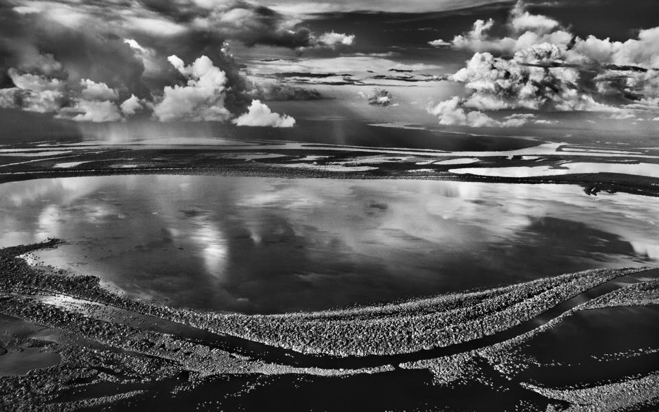 Îles Anavilhanas, Amazonas, Brazil (2009) - Sebastião Salgado/nbpictures