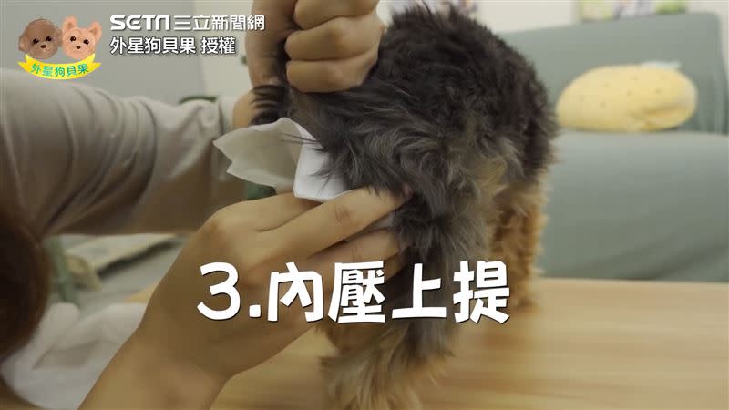 主人示範如何幫愛犬擠肛門腺。（圖／外星狗貝果 授權）