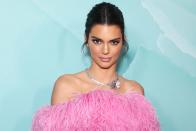 <p>Model und TV-Star Kendall Jenner hhate Glück und wurde einen aufdringlichen Stalker los - wohl für immer: Ein vorbestrafter Kanadier, der sich mehrfach unbefugt Zugang zu ihrem Anwesen verschafft hatte, wurde im April 2019 von der Einwanderungsbehörde des Landes verwiesen. (Bild: Brendon Thorne/Getty Images)</p> 