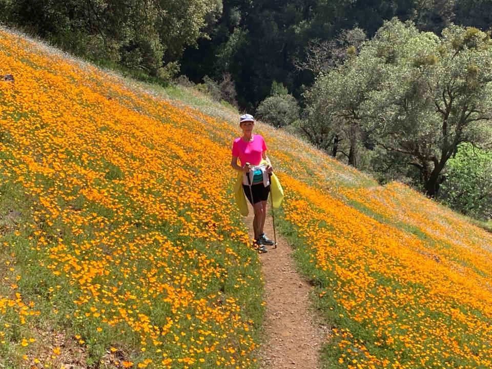 Poppie fields above Mokelumne River between Jackson and Mokelumne Hill.